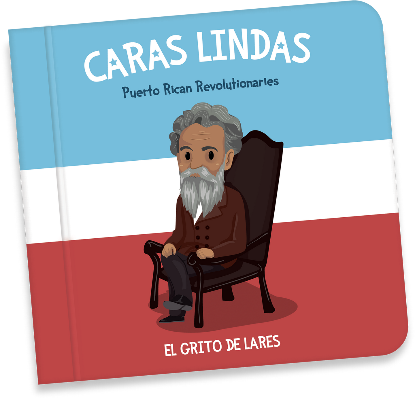 Caras Lindas: Puerto Rican Revolutionaries Book